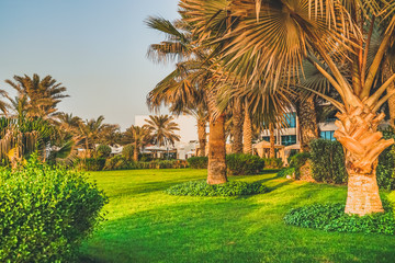 Fototapeta premium Green oasis hotel. Toning.