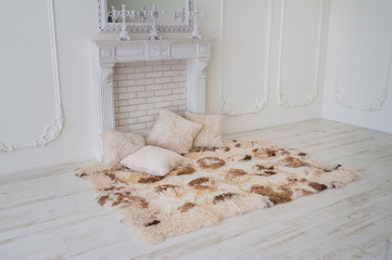 carpet of fur in the interior of the house