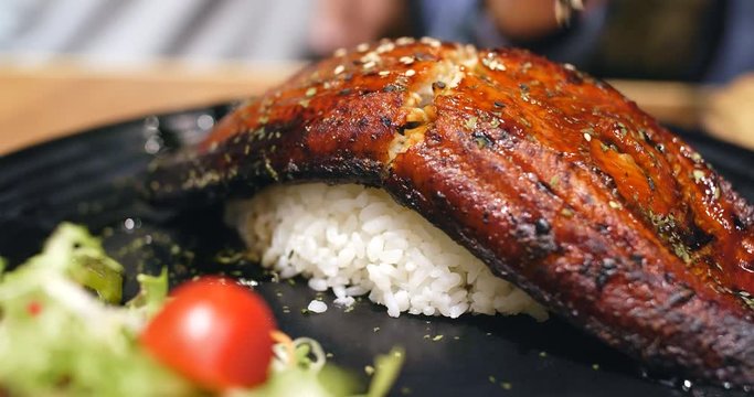 Grilled eel rice bowl