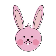Cute bunny cartoon