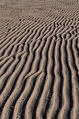  concept of relax in the abstract beach