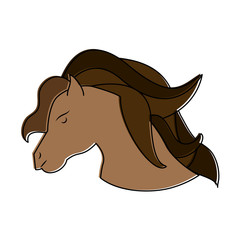 Cute horse cartoon