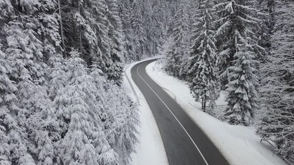 Fly on the beautiful winter forest. Natural video in the winter time - Powered by Adobe