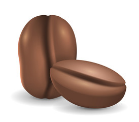 Coffee beans isolated on the white background. Realistic vector illustration. Picture with coffee seeds.