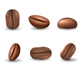 Set of coffee beans isolated on the white background. Realistic vector illustration. Picture with different coffee seeds.