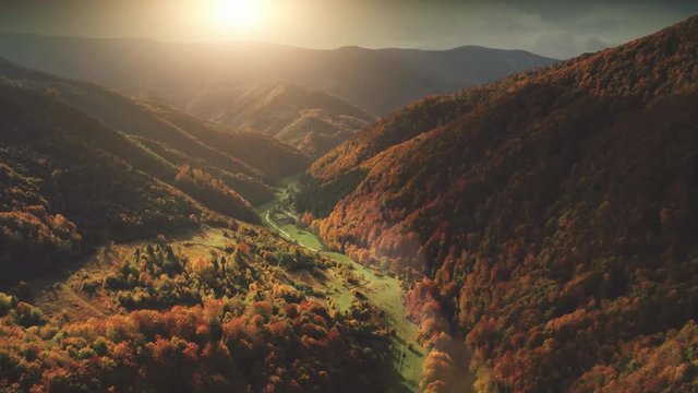 Aerial View Drone Flight over fantastic autumn mountain landscape. Green meadows, orange hills, pine tree forests against sunset cloudy sky. Carpathians, Ukraine, Europe. Colorful toning filter. 4K