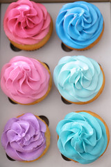 Delicious cupcakes in cardboard package, top view