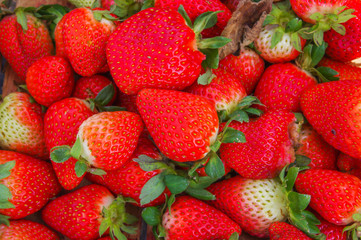 Top view of tasty ecuadorian strawberries freshly collected