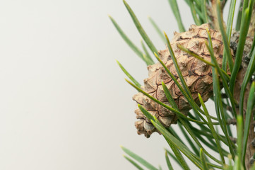 New Year's background image