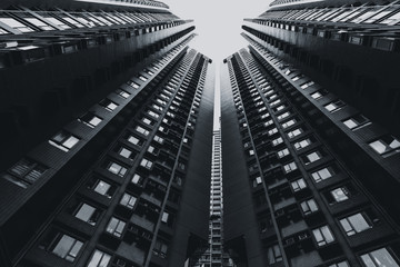 high rises building in black and white art photography of cityscape - Powered by Adobe