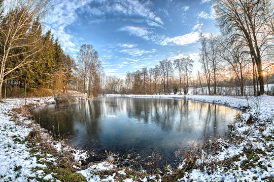 Winter At The Pond