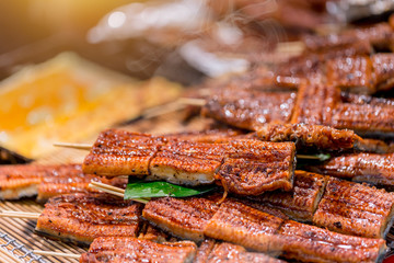 Unagi or Japanese Eel Grill for food