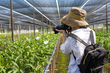 A woman tourist using her camera taking photo of orchid on orchid farm.