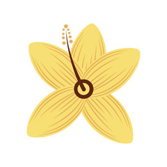 tropical hibiscus flower natural petal flora vector illustration
