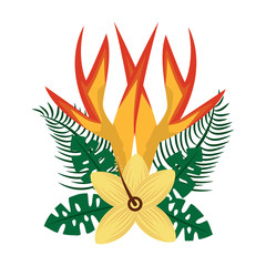 tropical arrangement exotic flowers hibiscus and bird of paradise leaves vector illustration