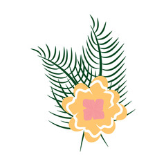 flower tropical plant leaves exotic nature vector illustration