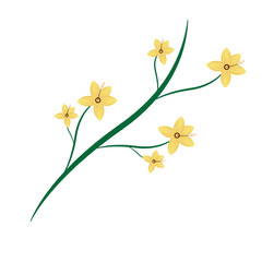natural branch with flowers and leaves botanical vector illustration
