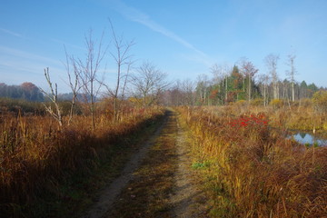 Nature walkway