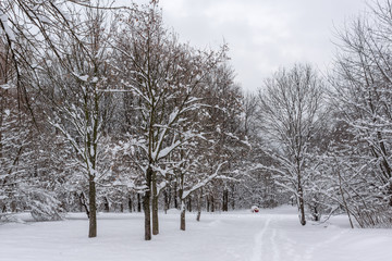 Winter Landscape with snow covered trees in South Park in city of Sofia, Bulgaria
