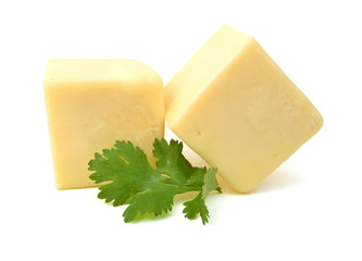 Cheese on white background