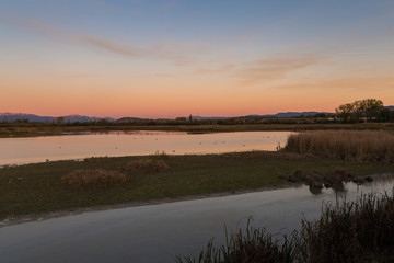 Atardecer en el Parque de Salburua, Spain