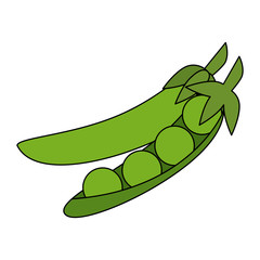 Fresh peas vegetable