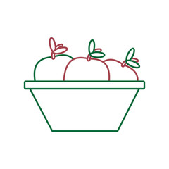 apple fruit icon image