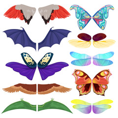 Fairy insect wings vector flying kids carnival costume winged bird bat and butterfly insects with wingspan for halloween party or Christmas isolated on a white background