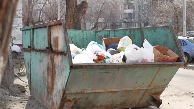 Trash bins on street