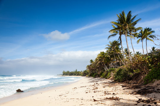 Banzai Pipeline Beach Landscape Hawaii