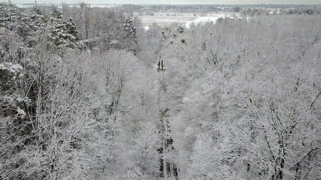 Aerial view of the road with snow-covered pine branches