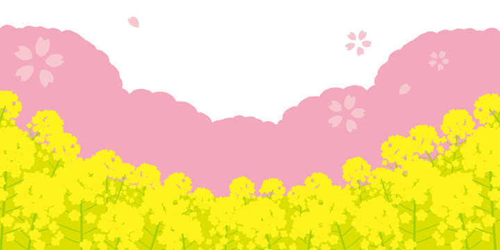 桜と菜の花　背景イラスト