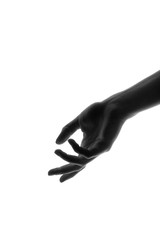 hand open palm up on white background