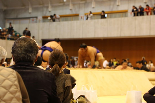 相撲巡業観戦