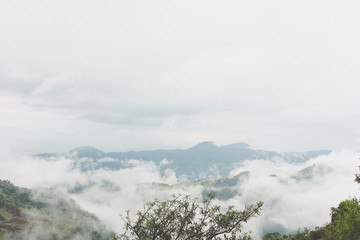 fog & cloud on mountain in morning. mist on hill