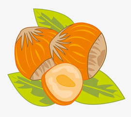 Nut hazelnut ripe