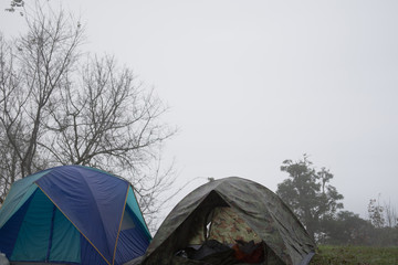 tourist tent in mist & fog. camping in forest. travel, vacation concept