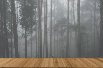 pine tree with fog. mist in forest at dusk. nature landscape in evening with wood table for display product