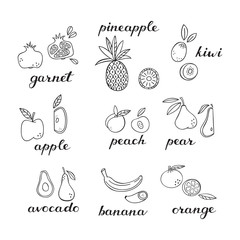 Set of Doodle Fruit Icons.