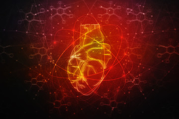 2d illustration  Anatomy of Human Heart 