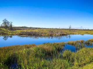 Fototapeta na wymiar marsh river landscape