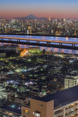 Tokyo city view with Mount Fuji and Tokyo tower landmark