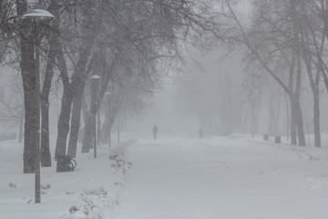 Strong wind and snow in the city park