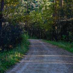 Obraz premium empty road in the countryside in summer. gravel surface