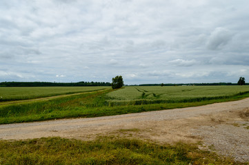 empty road in the countryside in summer. gravel surface