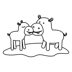 hippopotamus couple over grass in black silhouette on white background vector illustration