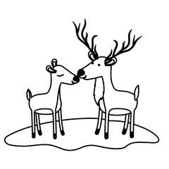 deer couple over grass in black sections silhouette on white background vector illustration