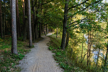 empty road in the countryside in summer. gravel surface