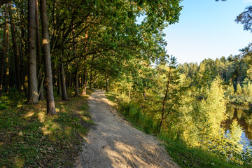 empty road in the countryside in summer. gravel surface