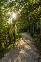 Obraz premium empty road in the countryside in summer. gravel surface